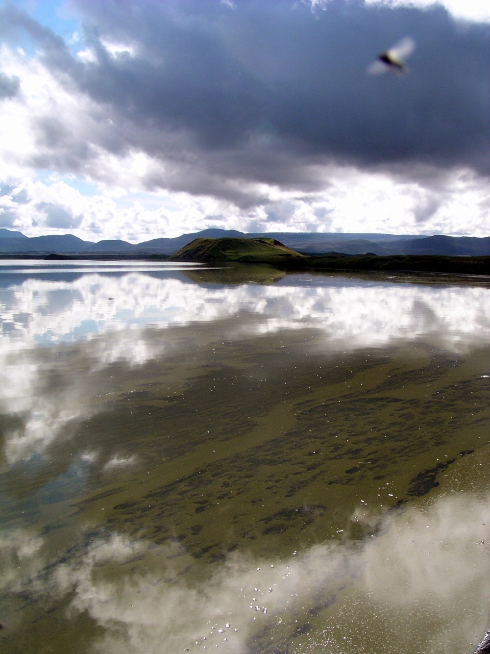 Mývatn (Mynd: Bergþóra Kristjánsdóttir)