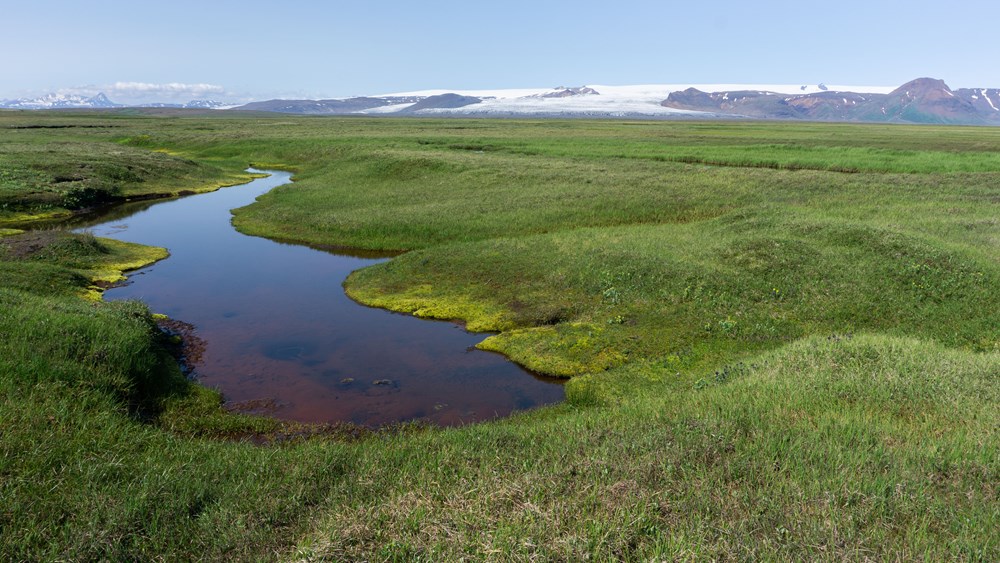Þjórsárver eru eitt af sex Ramsarsvæðum á Íslandi.